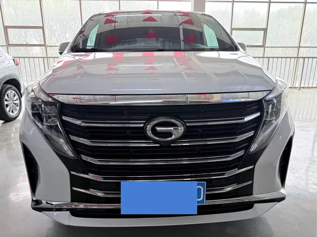 Trumpchi M8 2023 Lead Show Series 390T Exclusive Edition купить на сайте DeffCars