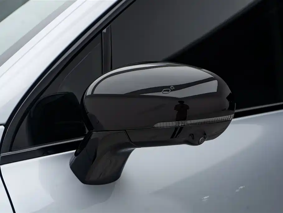 Leapmoon C16 2024 Extended Range 200 Exclusive Edition купить на сайте DeffCars