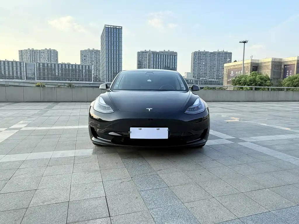 Model 3 2022 rear-wheel drive version купить на сайте DeffCars