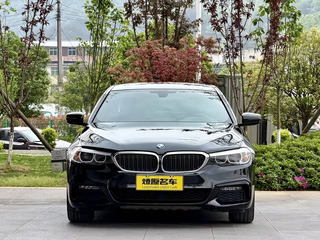 BMW 5 Series 2019 525Li M Sports Package купить на сайте DeffCars
