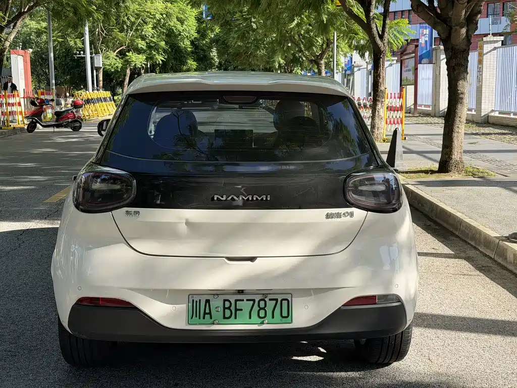 Nano 01 2024 model 430 Max smart+ купить на сайте DeffCars