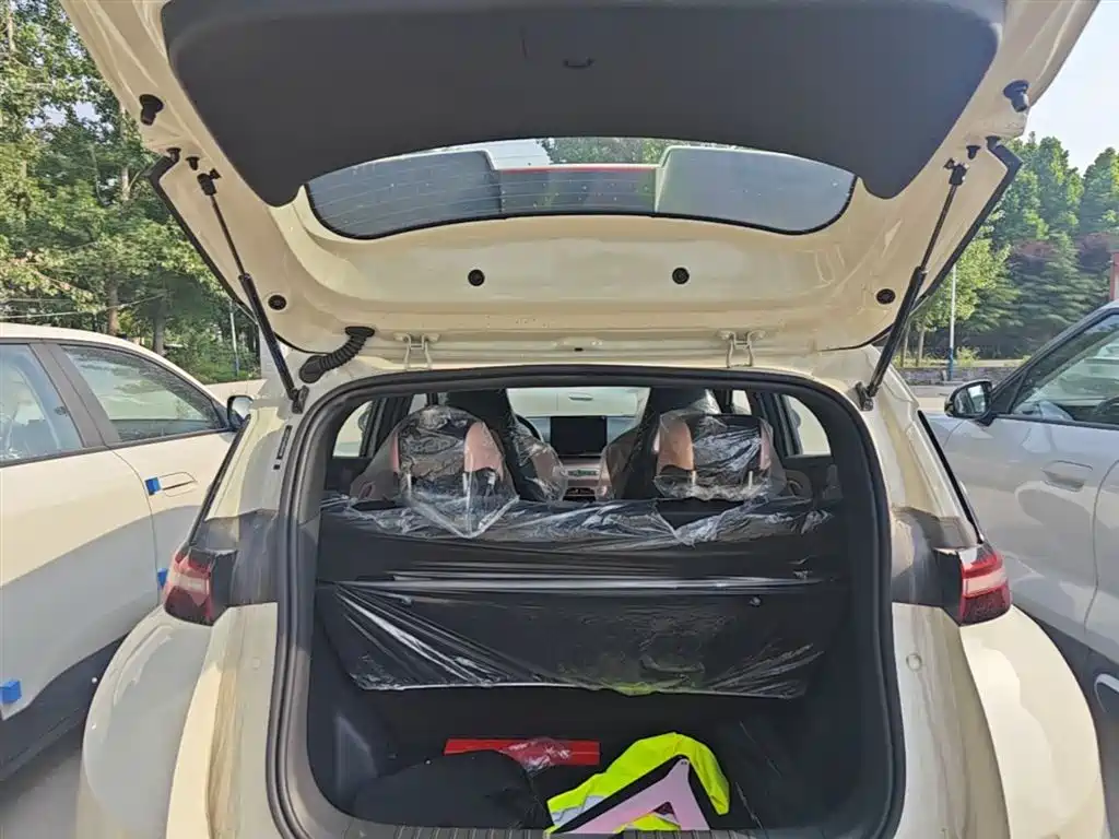 Seagull 2025 305km active version купить на сайте DeffCars
