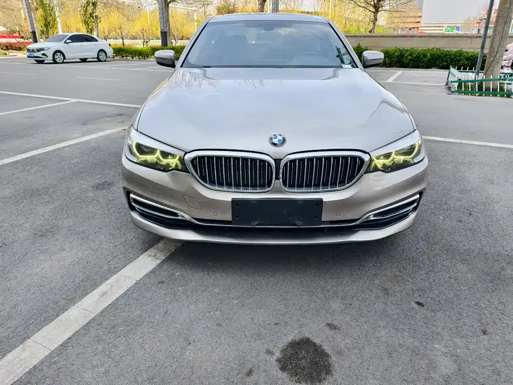 BMW 5 Series 2019 525Li Luxury Package купить на сайте DeffCars