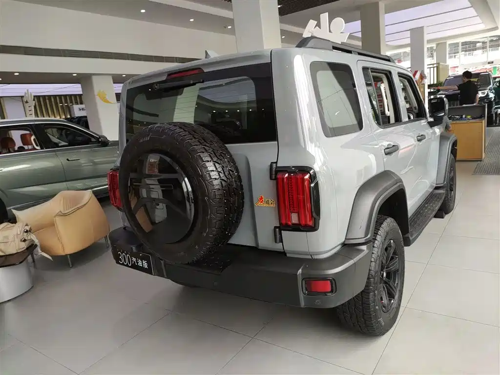 Tank 300 2021 Off-Road Version 2.0T Conqueror купить на сайте DeffCars