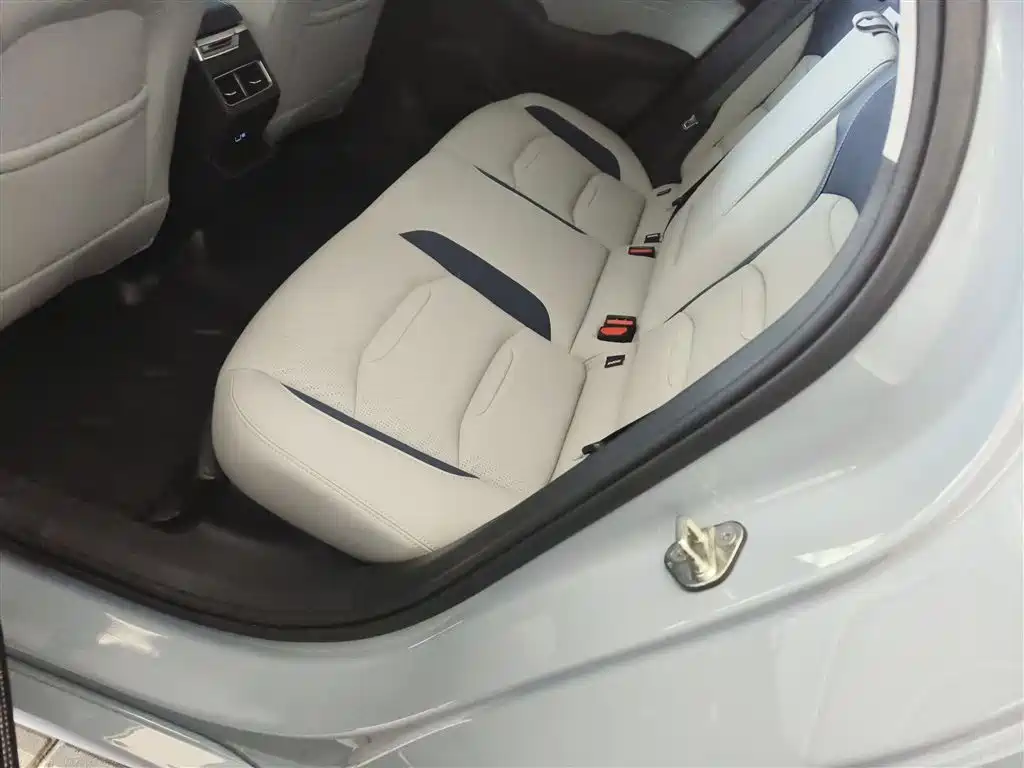 Xingrui 2023 2.0TD Premium Model купить на сайте DeffCars