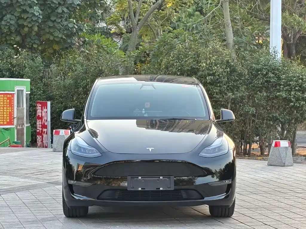 Model Y 2021 standard range rear-wheel drive version купить на сайте DeffCars