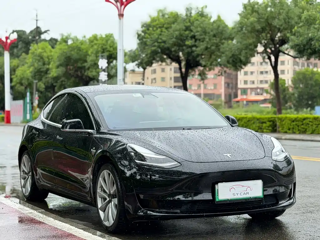 Model 3 2020 Standard Range Rear Drive Upgraded Version купить на сайте DeffCars
