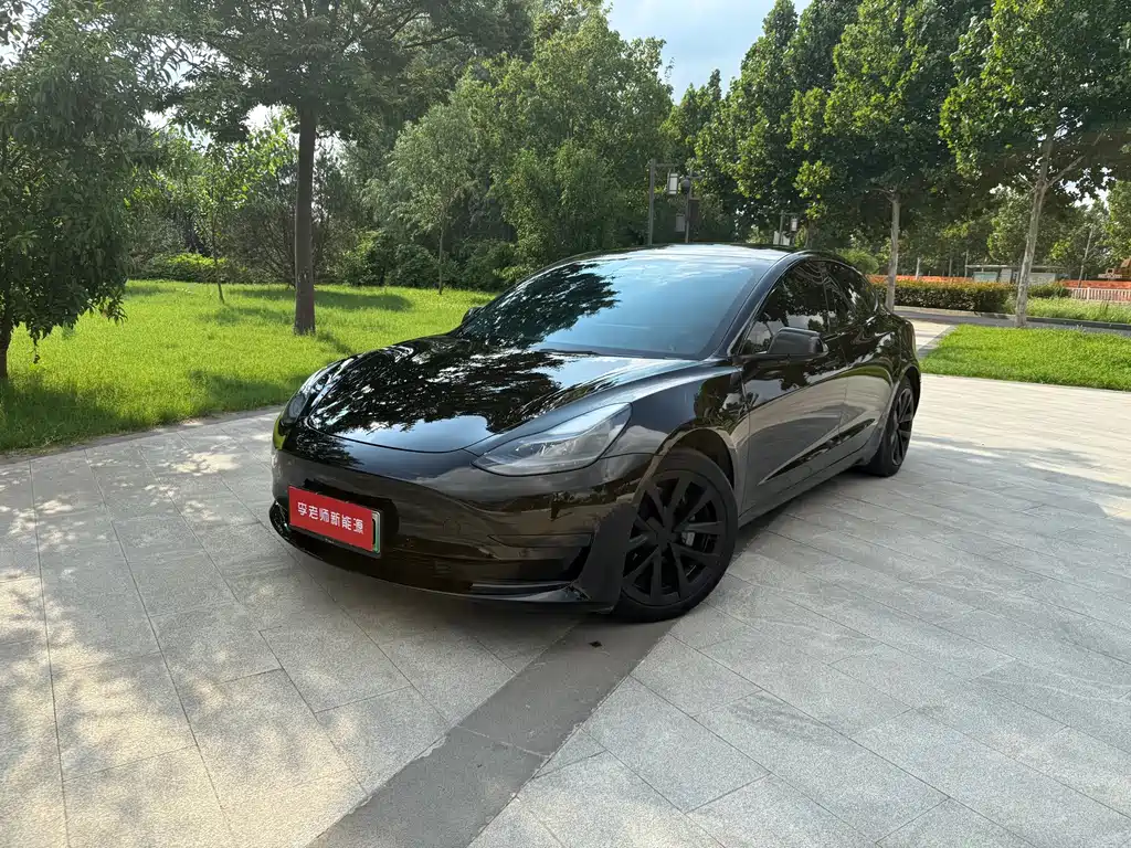 Model 3 2021 Standard Range Rear Drive Upgraded Version купить на сайте DeffCars