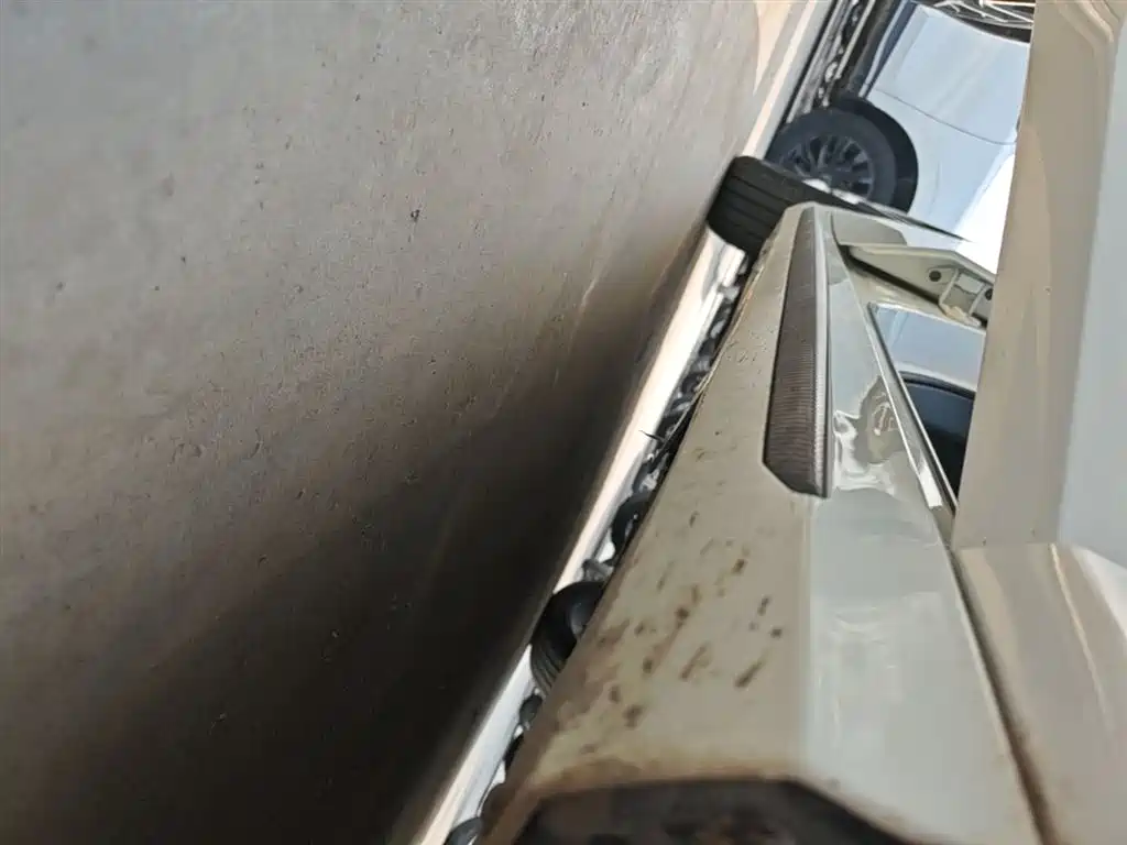 Shadow Leopard 2021 270T DCT J16 version купить на сайте DeffCars