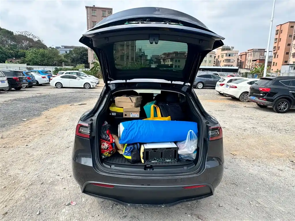 Model Y 2024 rear-wheel drive version купить на сайте DeffCars