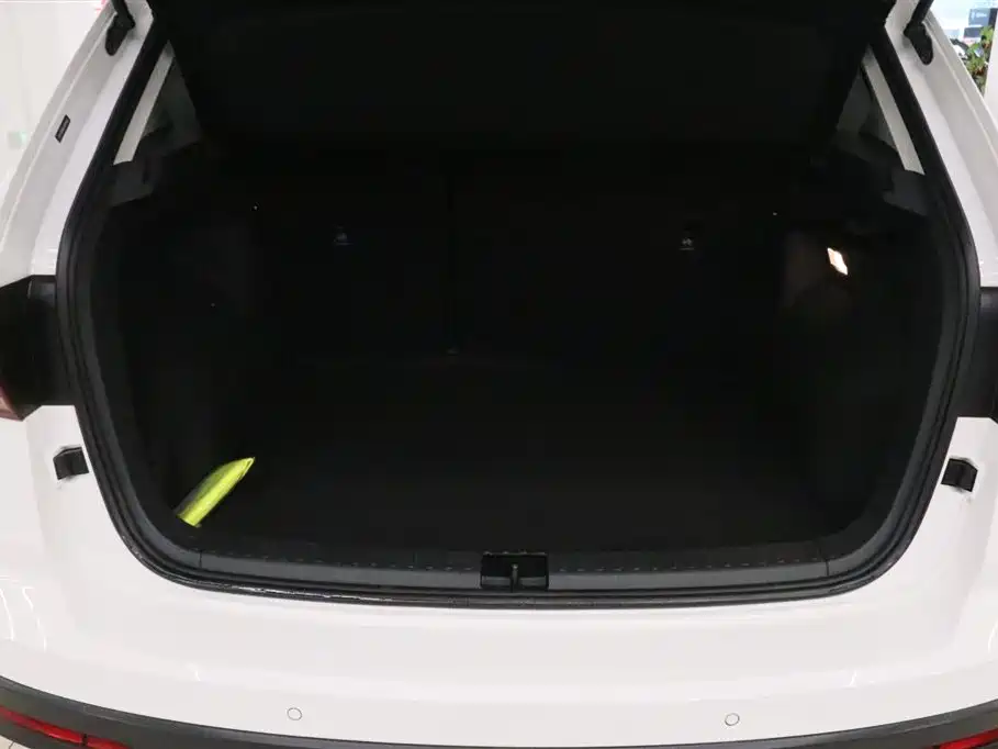 Tuyue New Energy 2021 Panoramic Premium Edition купить на сайте DeffCars