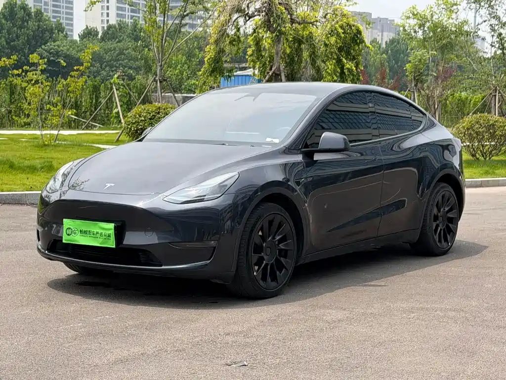 Model Y 2024 long-range all-wheel drive version купить на сайте DeffCars