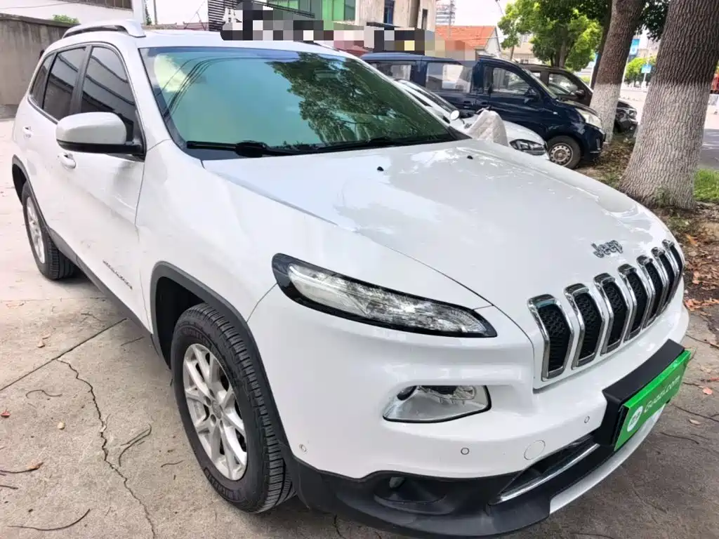 Freelight 2016 2.4L Professional Edition купить на сайте DeffCars