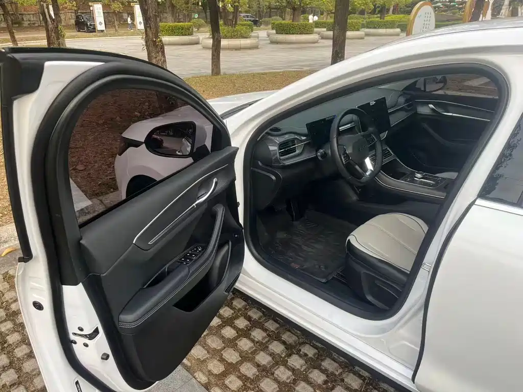 Destroyer 05 2024款 荣耀版 DM-i 55KM 豪华型 купить на сайте DeffCars