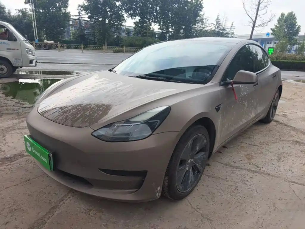 Model 3 2022 rear-wheel drive version купить на сайте DeffCars