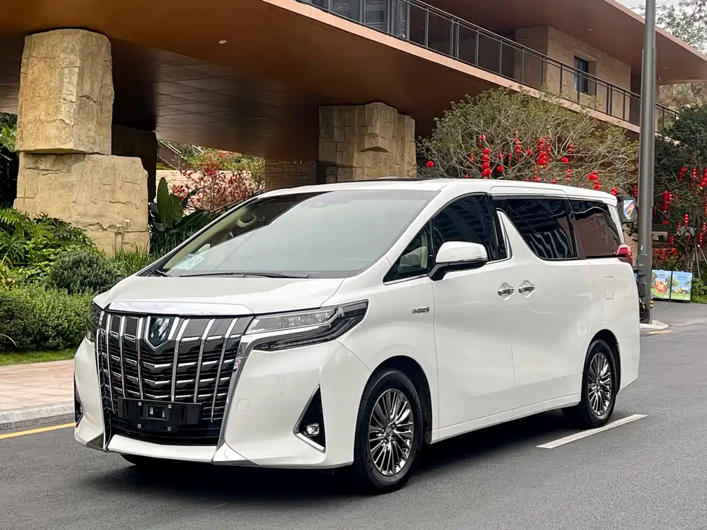 Alfa 2021 Shuangqing 2.5L Premium Edition купить на сайте DeffCars