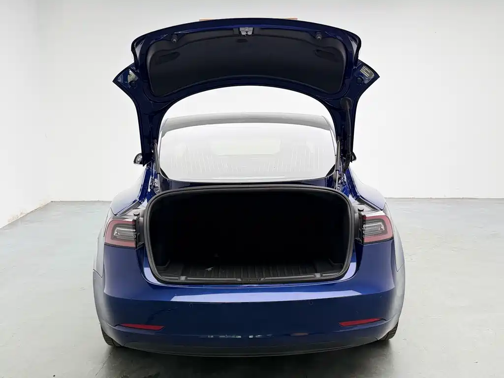Model 3 2020 Standard Range Rear Drive Upgraded Version купить на сайте DeffCars