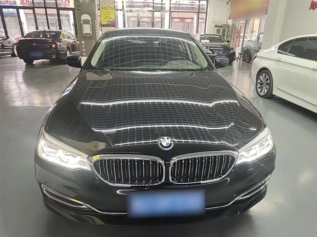 BMW 5 Series 2020 530Li Leading Luxury Package купить на сайте DeffCars
