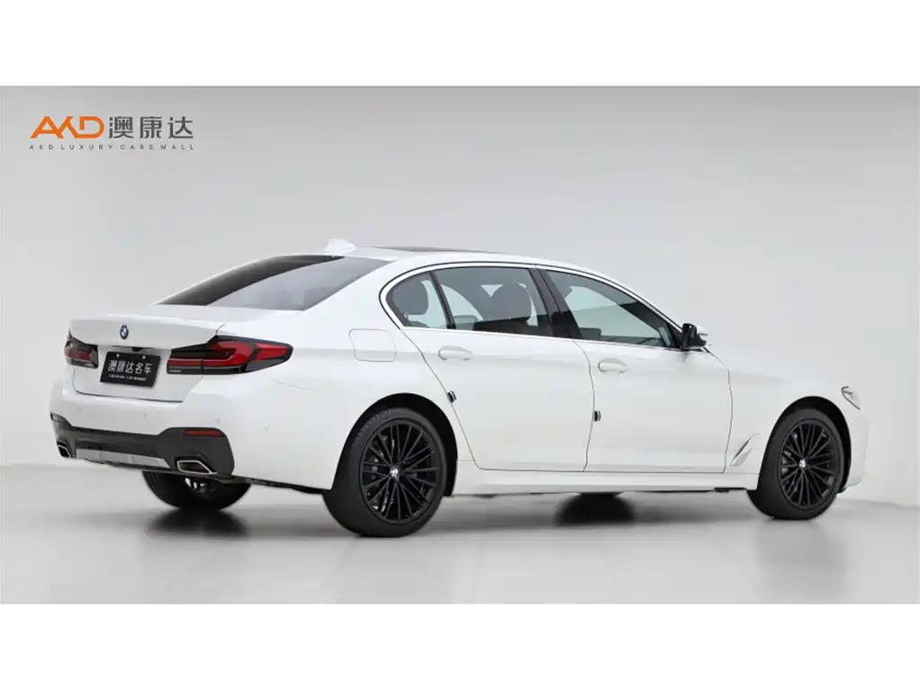 BMW 530Li/2.0T/22 models/modification leading M sports package купить на сайте DeffCars