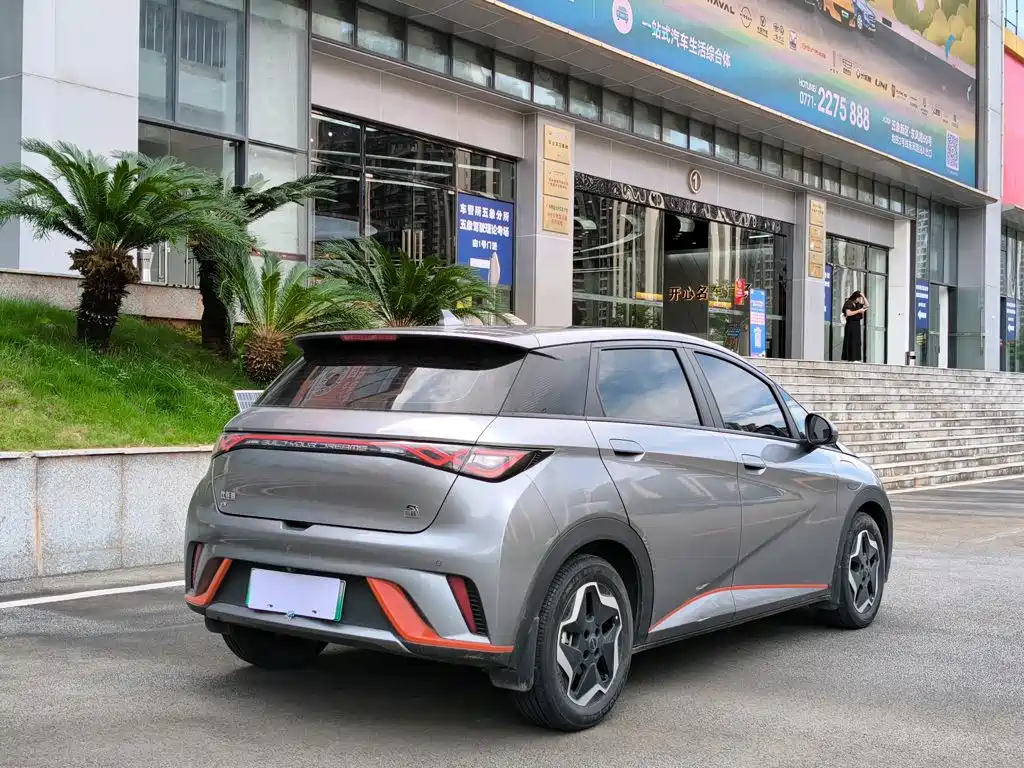 Dolphin 2021 405km fashion version купить на сайте DeffCars