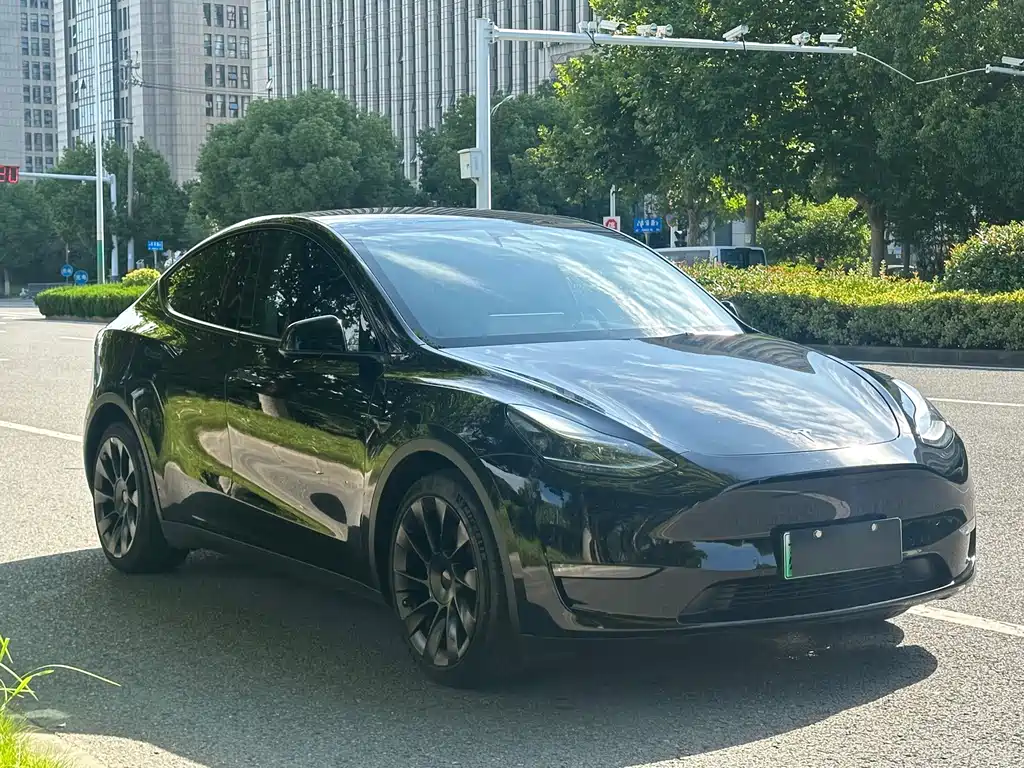 Model Y 2022 rear-wheel drive version купить на сайте DeffCars