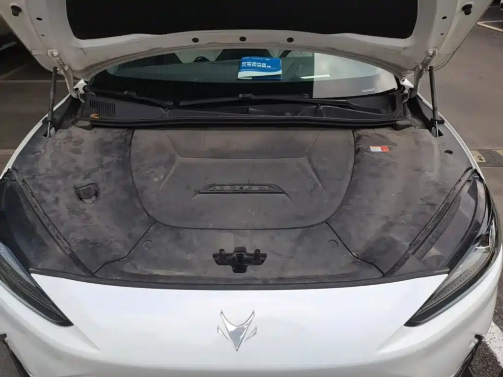 JiFox Alpha S 2023 735E+ Forest Edition 160kW купить на сайте DeffCars