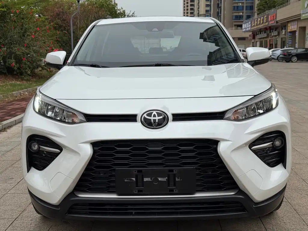 Wilanda 2020 2.0L CVT two-wheel drive luxury version купить на сайте DeffCars