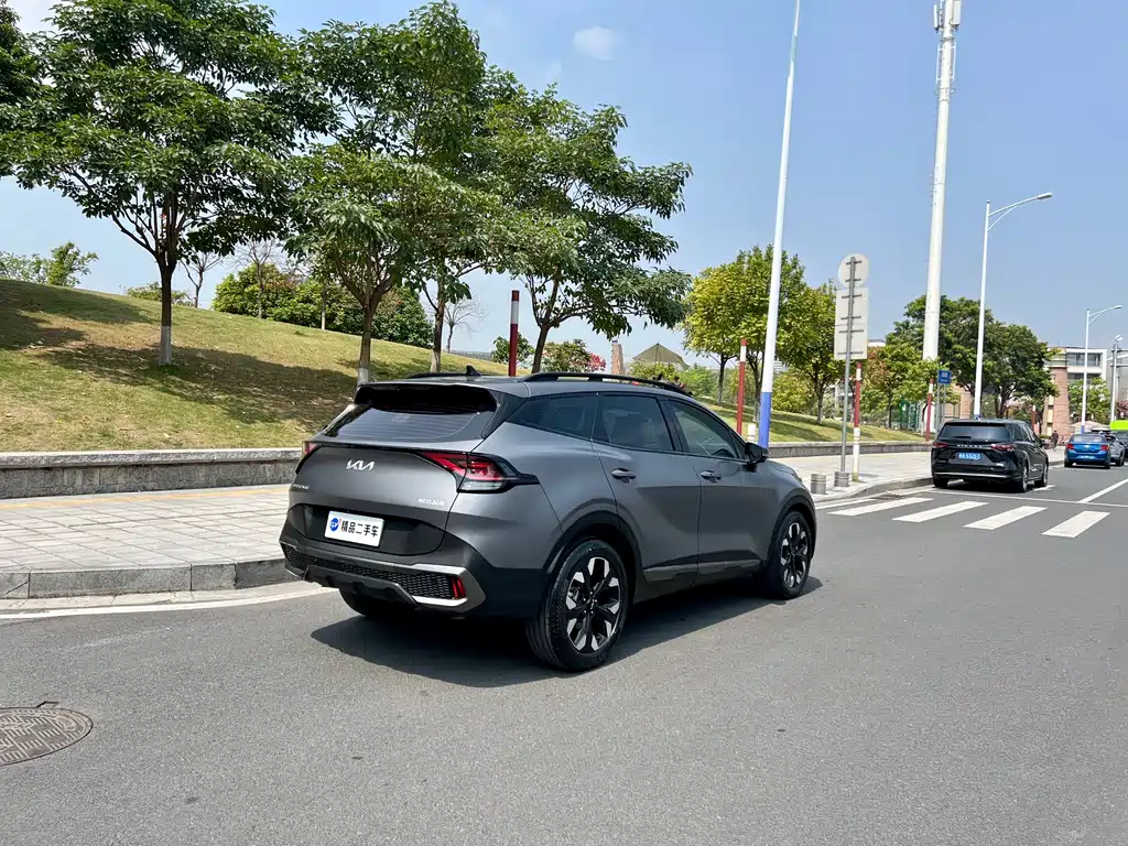 Lion Platinum expands the world 2023 2.0T two-wheel drive flagship version купить на сайте DeffCars