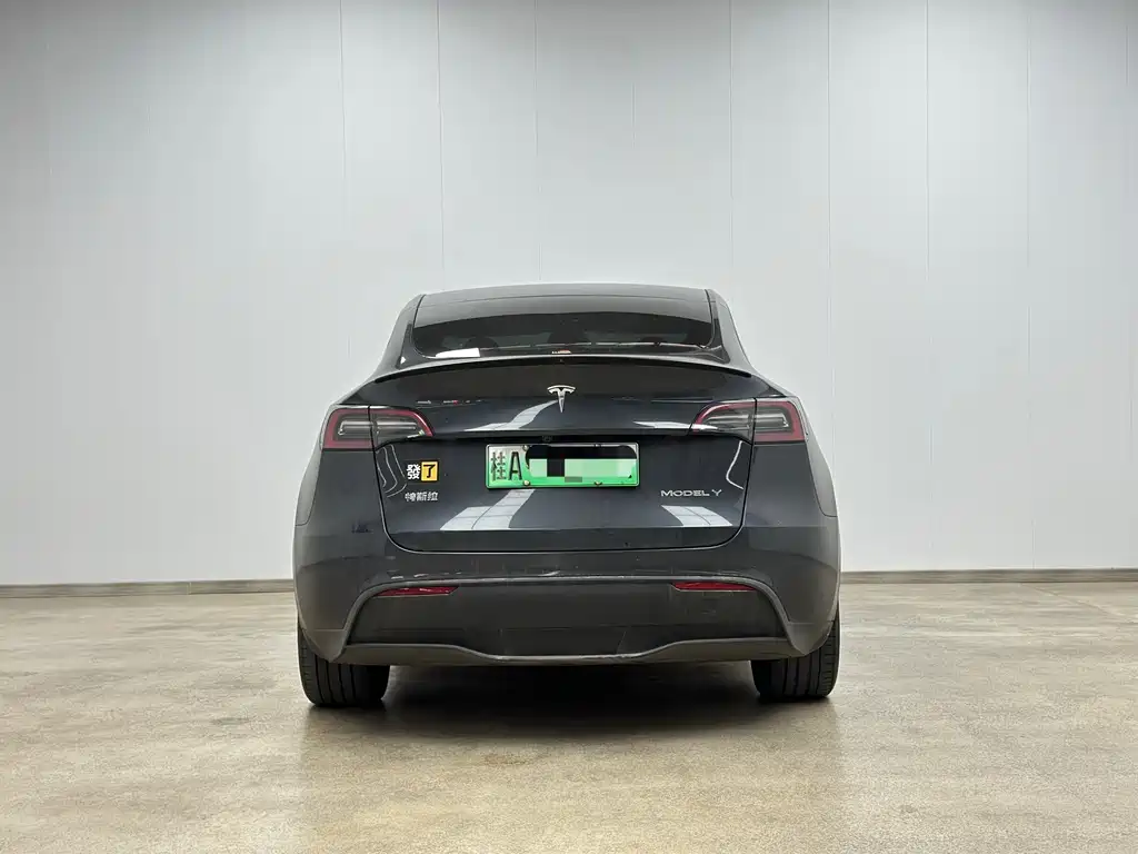 Model Y 2024 rear-wheel drive version купить на сайте DeffCars