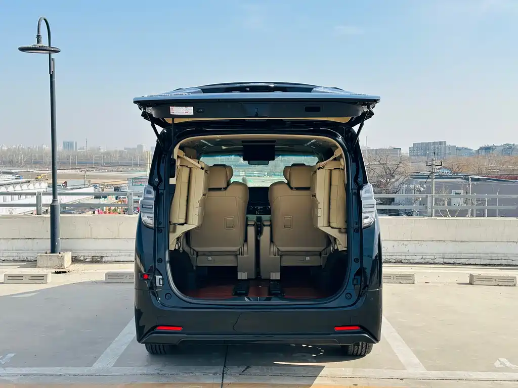 Wilfa 2020 Shuangqing 2.5L Black Gold Limited Edition купить на сайте DeffCars