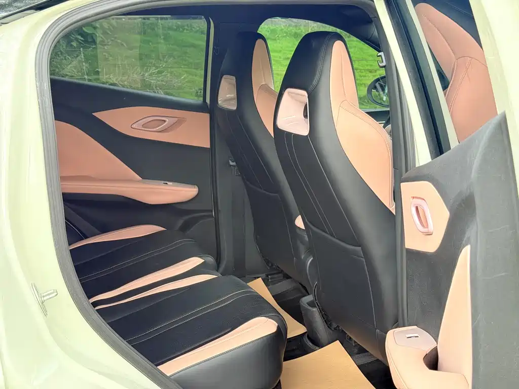Seagull 2024 Honor Edition 305km Free Edition купить на сайте DeffCars