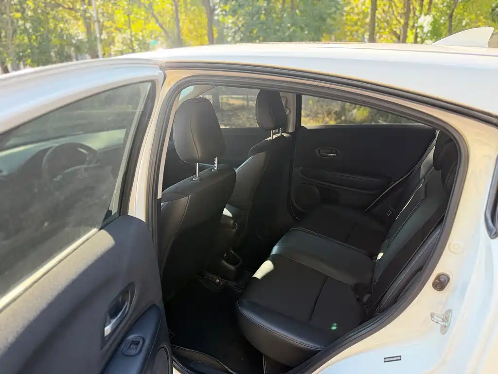 Binzhi 2019 1.5L CVT Pioneer Edition National V купить на сайте DeffCars