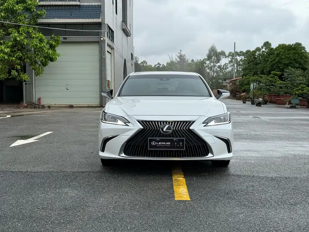 Lexus ES 2020 200 Excellence Edition купить на сайте DeffCars