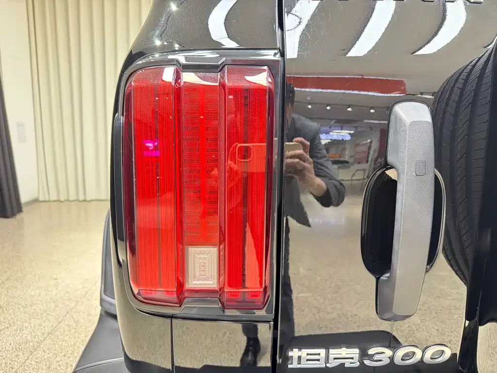 Tank 300 2021 Off-Road Version 2.0T Conqueror купить на сайте DeffCars