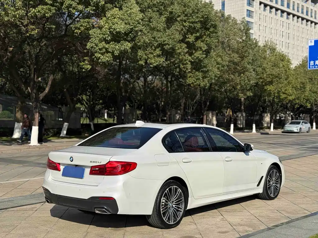 BMW 5 Series 2019 530Li Leading M Sports Package купить на сайте DeffCars