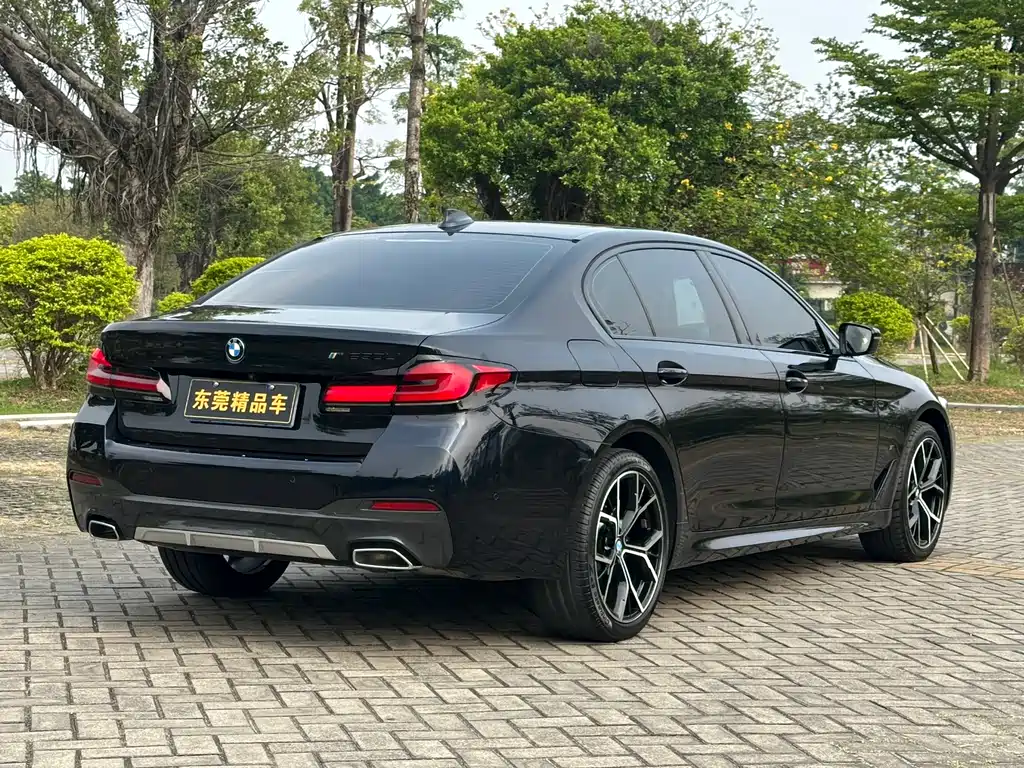 BMW 5 Series 2021 530Li Leading M Sports Package купить на сайте DeffCars