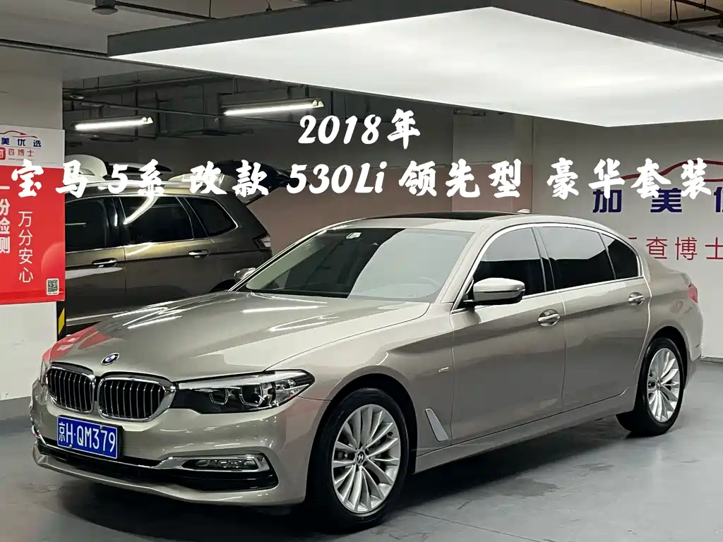 BMW 5 Series 2018 Modified 530Li Leading Luxury Package купить на сайте DeffCars