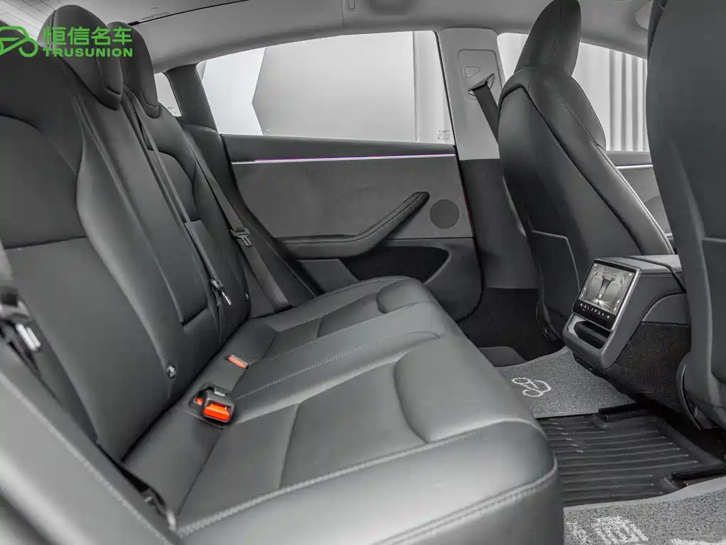 Model 3 2023 rear-wheel drive version купить на сайте DeffCars