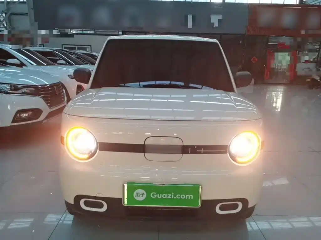 Panda 2025 Panda mini 210km Yuanqi Bear купить на сайте DeffCars