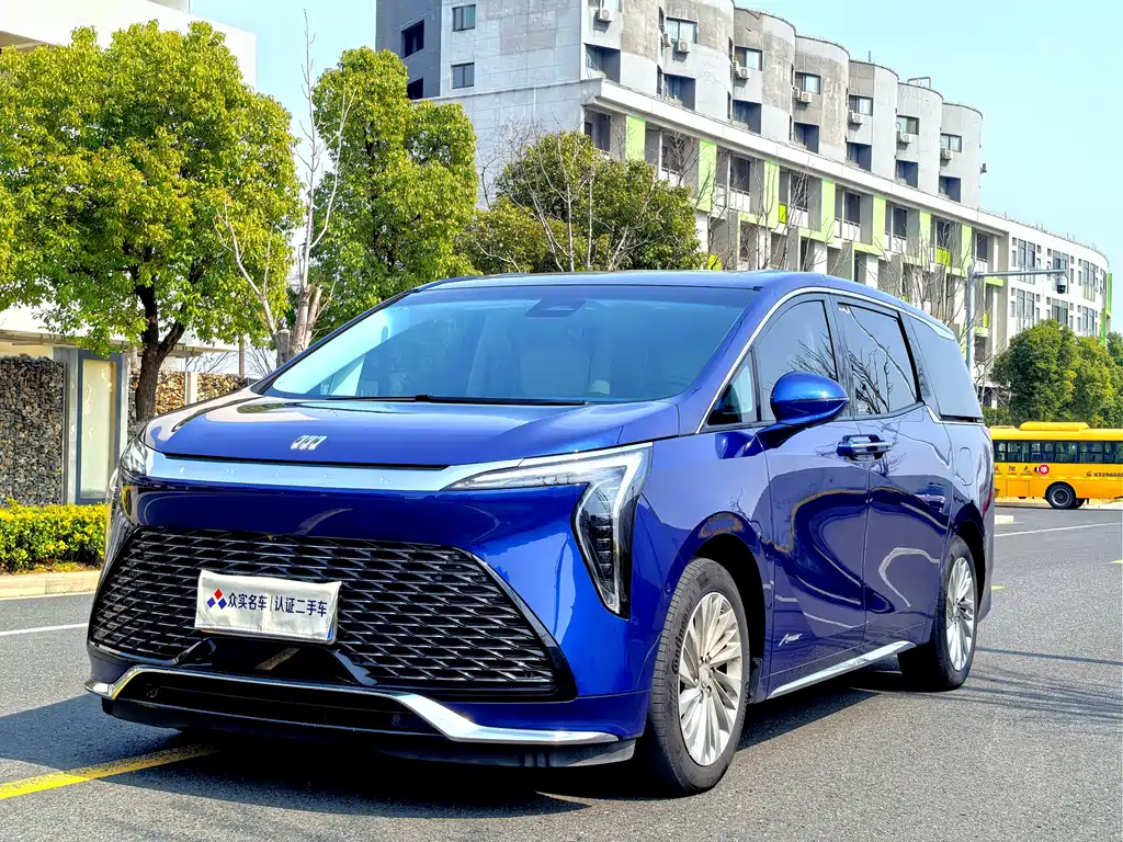 Century 2023 2.0T Six-seater Yuanshi Edition купить на сайте DeffCars