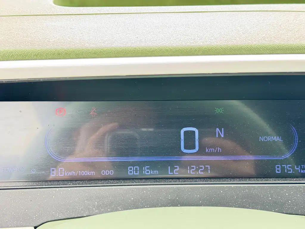 Panda 2025 210km Panda Rider купить на сайте DeffCars