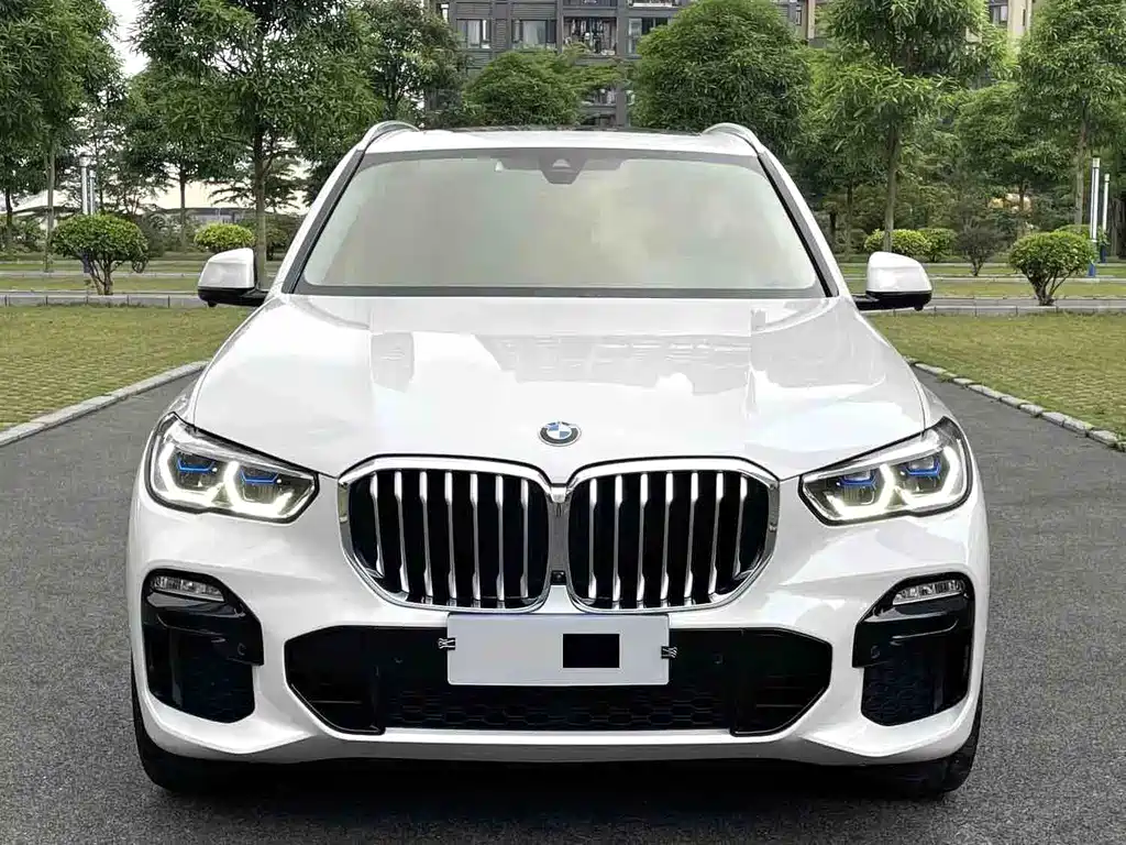 BMW X5 (импорт) 2019 xDrive40i M Sports Package купить на сайте DeffCars