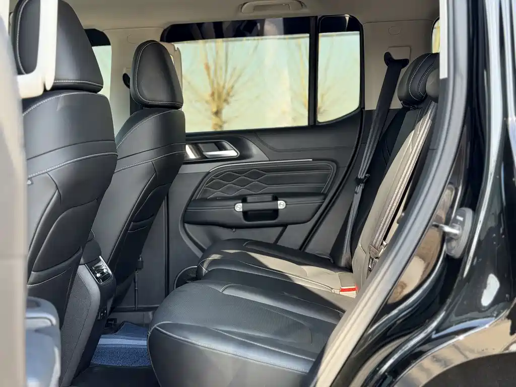 Tank 300 2025 2.0T Gasoline Conqueror купить на сайте DeffCars