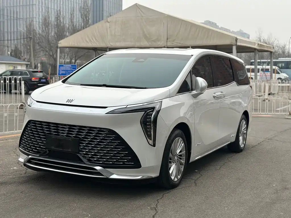 Century 2023 2.0T Six-seater Yuanshi Edition купить на сайте DeffCars