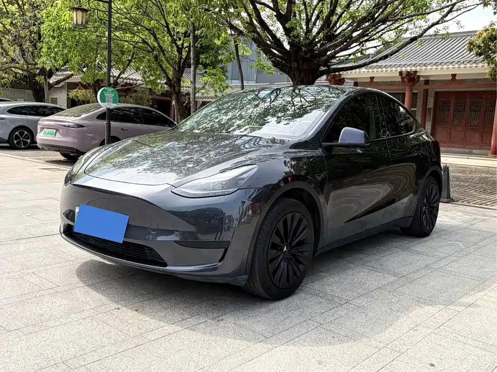 Model Y 2024 rear-wheel drive version купить на сайте DeffCars
