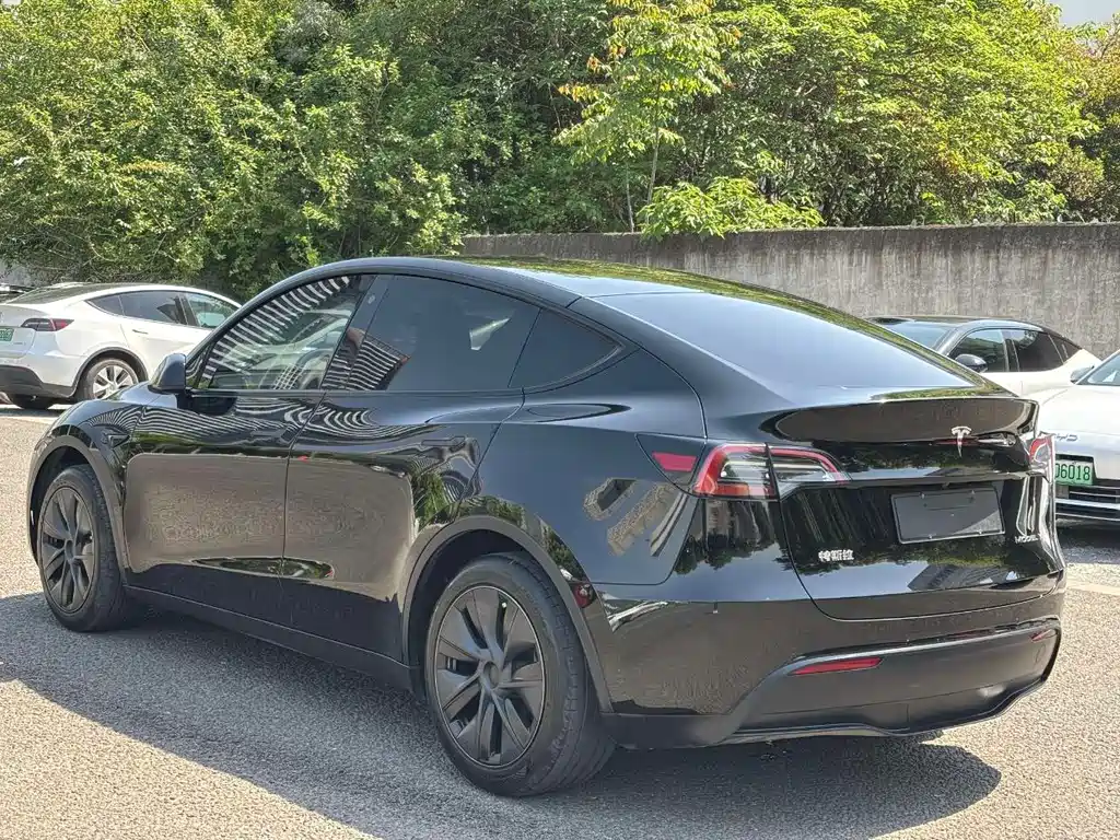 Model Y 2024 rear-wheel drive version купить на сайте DeffCars