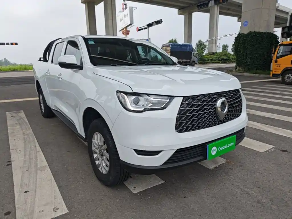 Cannon (Poer) 2019 2.0T Commercial Manual Diesel 2WD Elite Long Case GW4D20M купить на сайте DeffCars