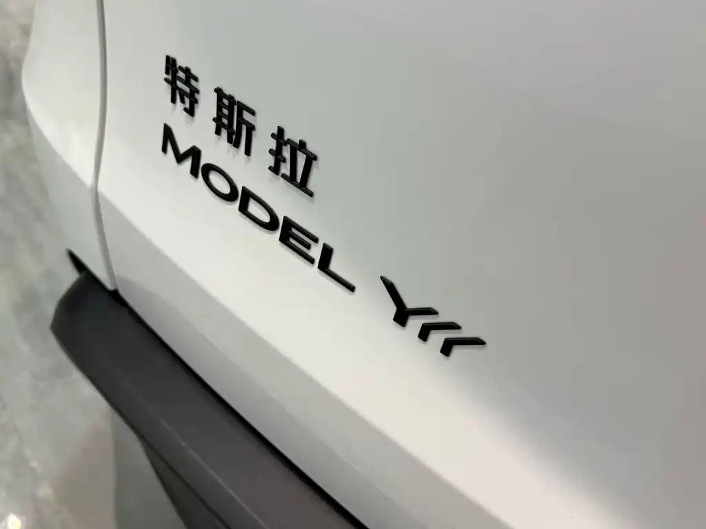 Model Y L 2025 long-range all-wheel drive version купить на сайте DeffCars