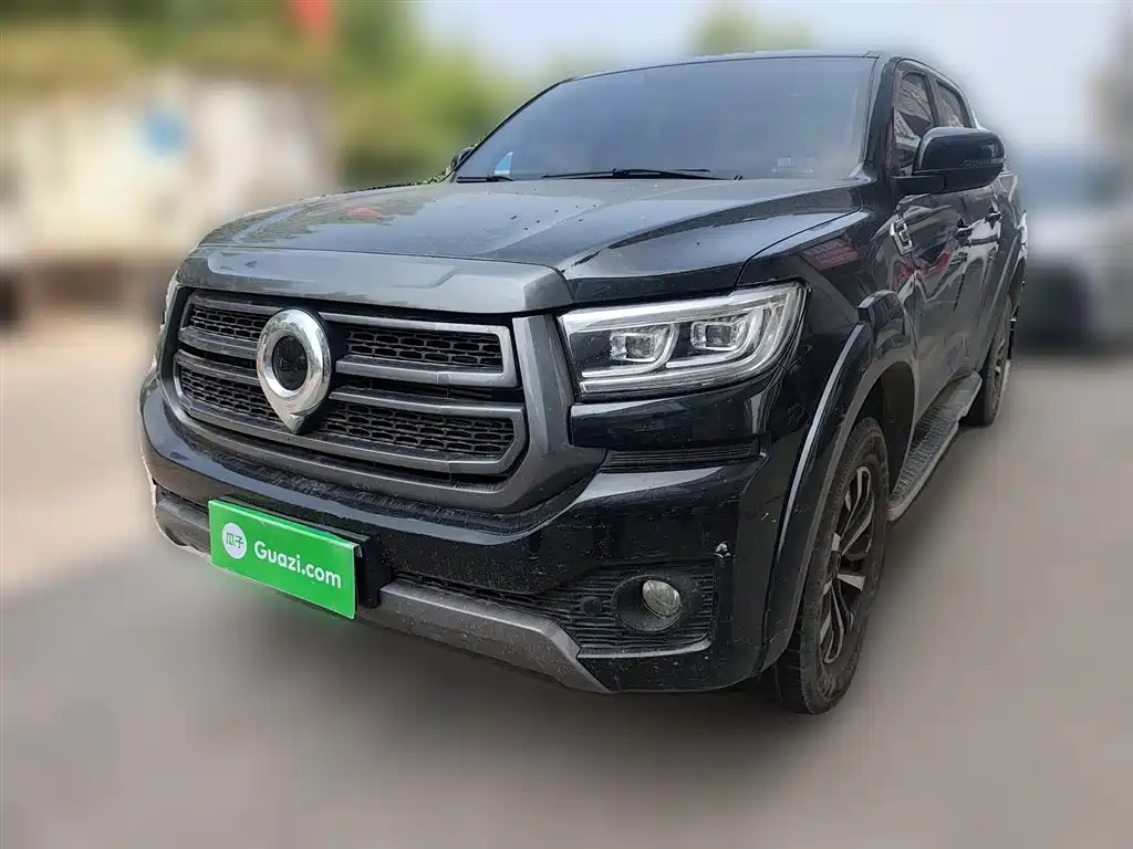 Cannon 2023 2.0T passenger version automatic diesel two-wheel drive comfort model GW4D20M купить на сайте DeffCars