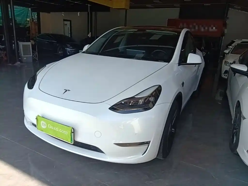Model Y 2021 standard range rear-wheel drive version купить на сайте DeffCars
